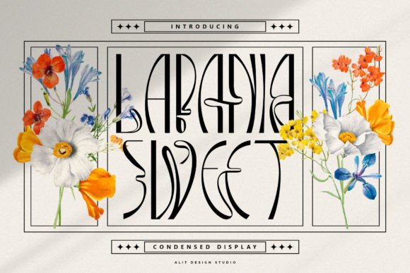 Lapania Sweet: Dynamic Elegance in Every Curve